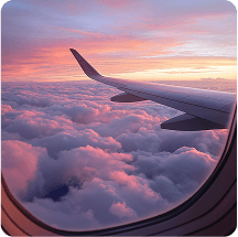 flight